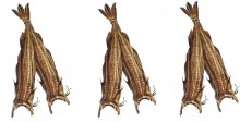 whole dried stockfish